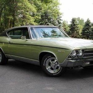 Meet your Posher, Bruce